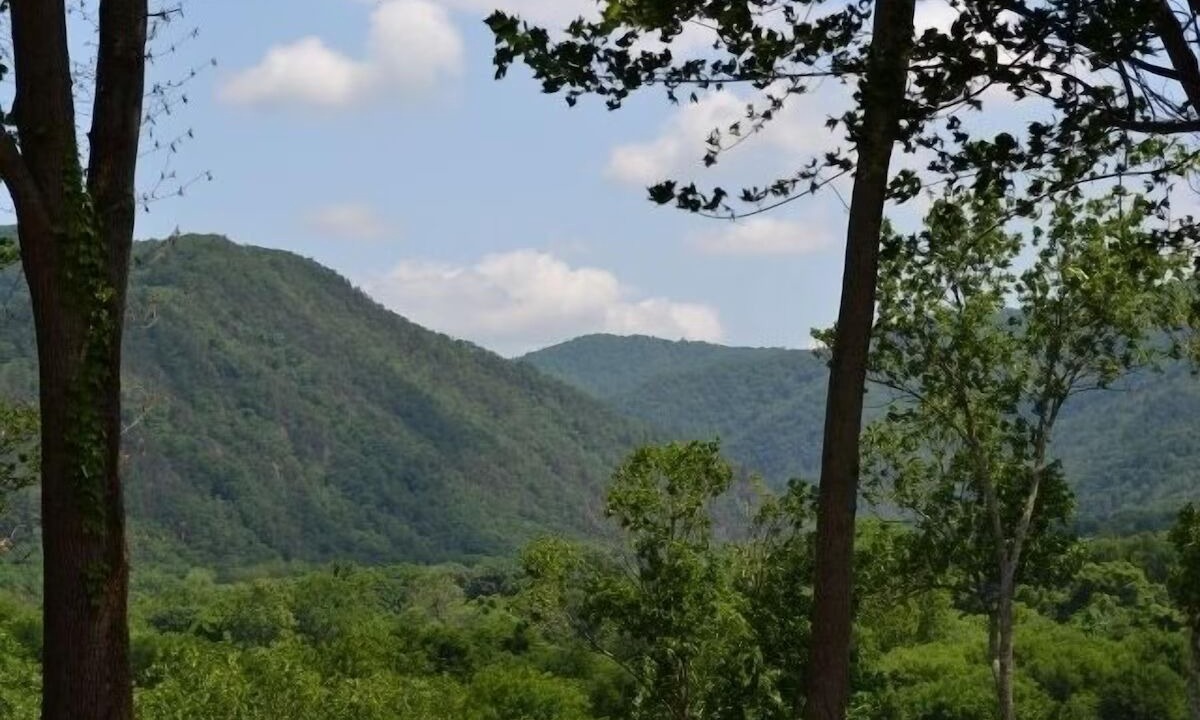 Photo of Others in Hot Springs