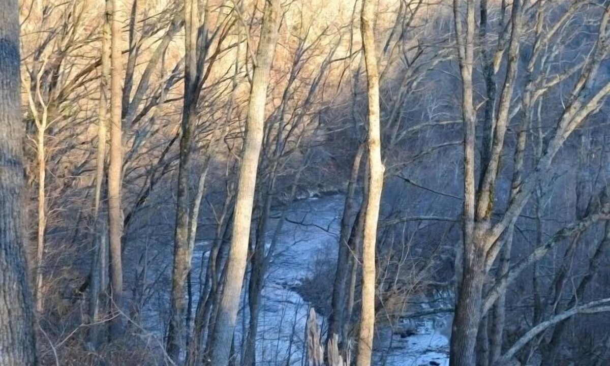 Photo of Others in Hot Springs