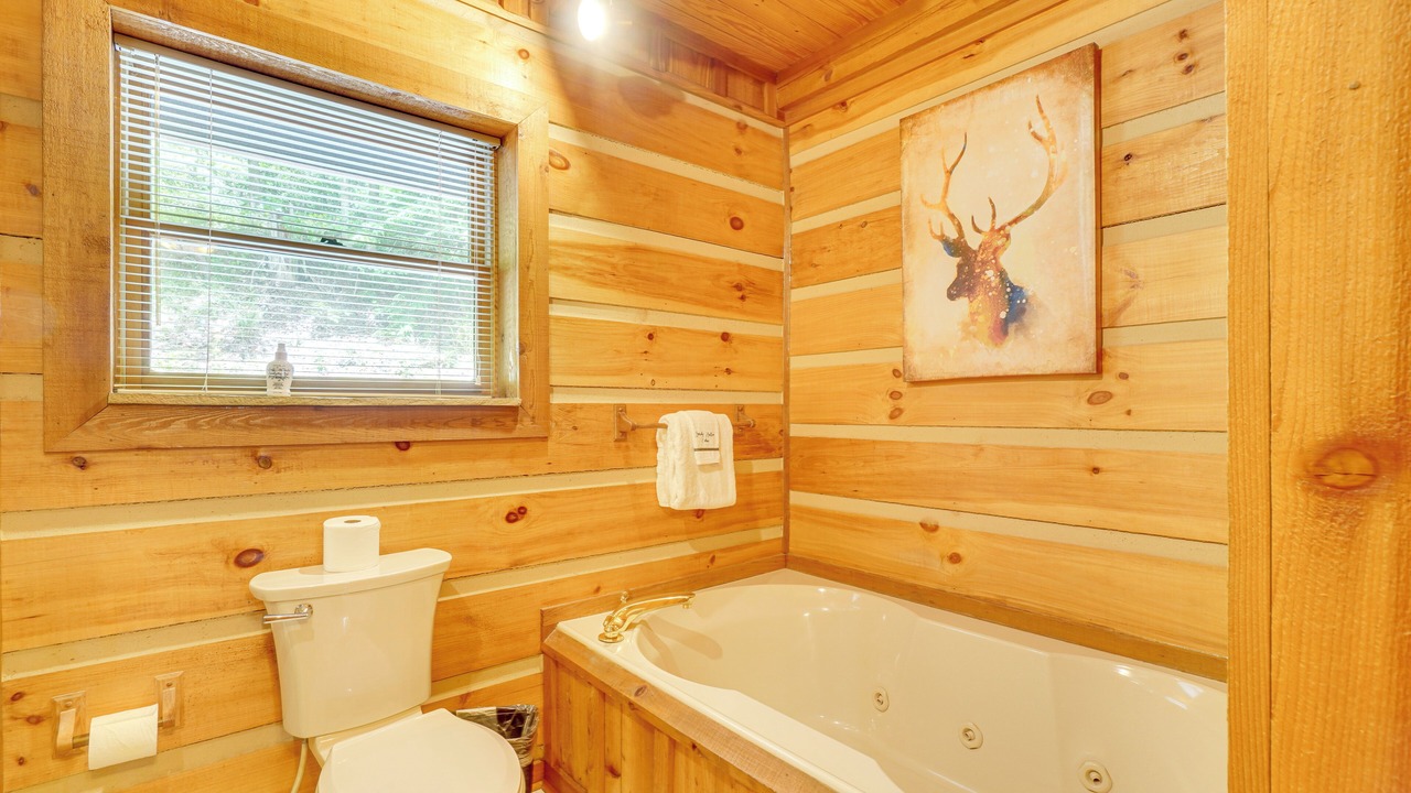 Photo of Bathroom in Wears Valley