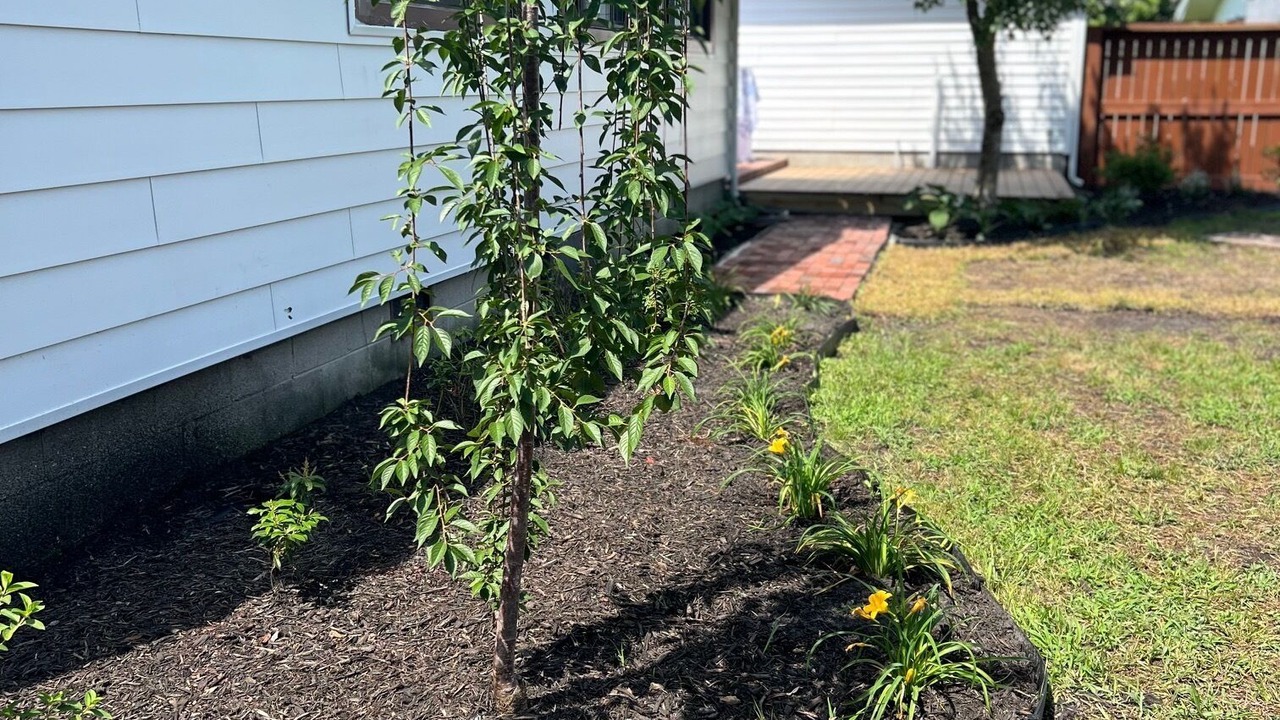 Photo of Outdoor in Havelock