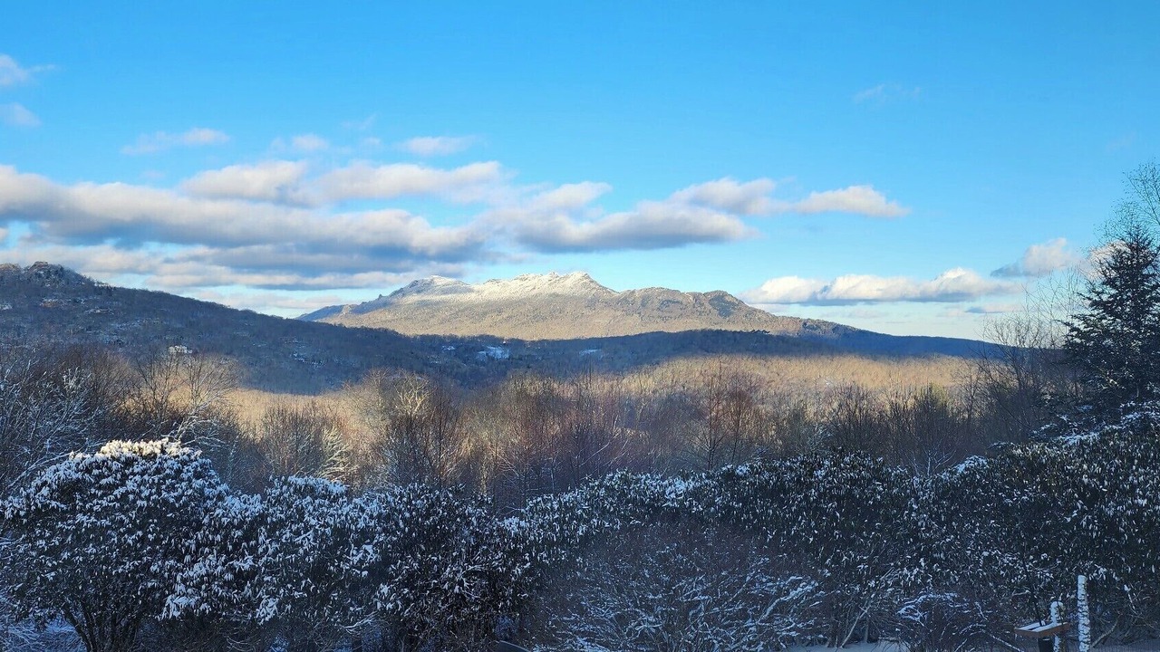 Photo of Others in Newland
