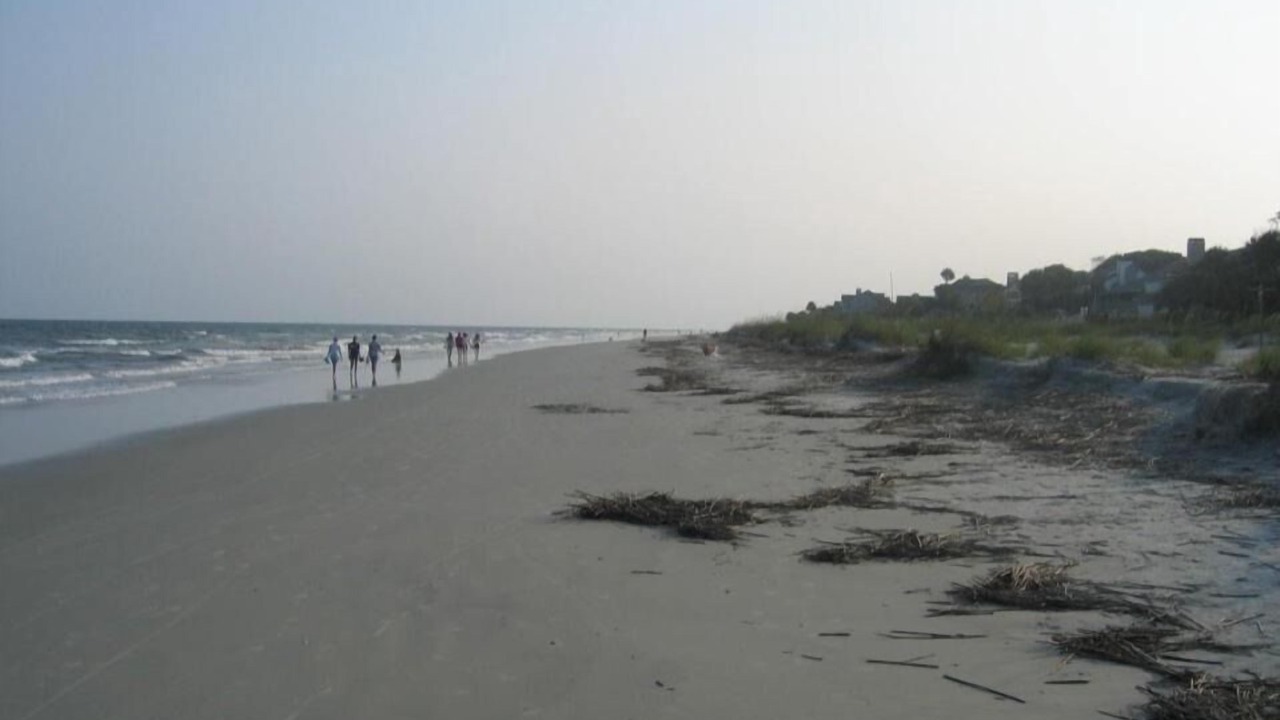 Photo of Others in North Forest Beach