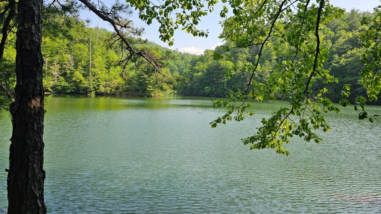 Photo of Others in Robbinsville