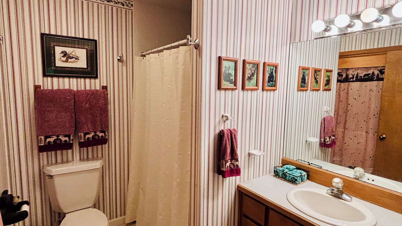 Photo of Bathroom in Cullowhee