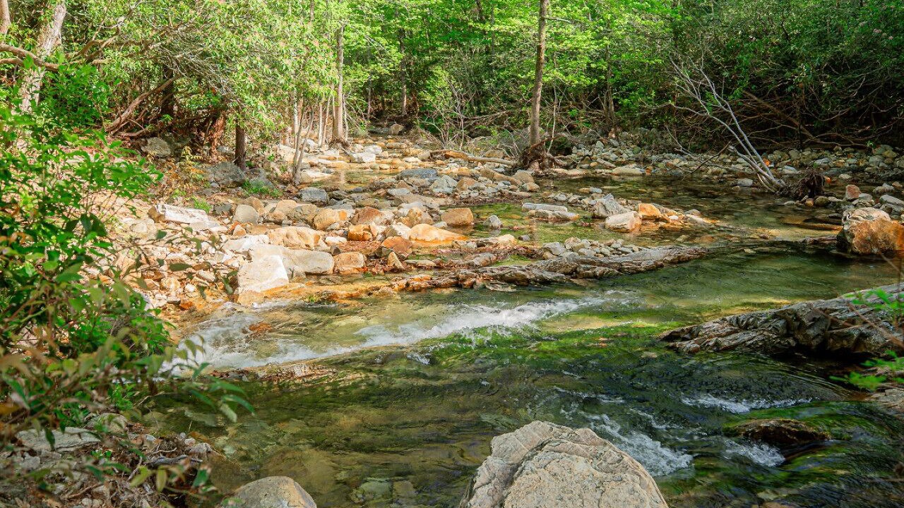 Photo of Outdoor in Nebo