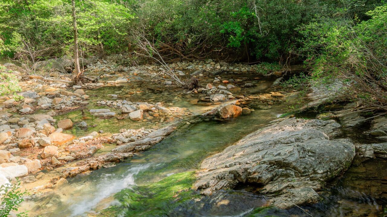 Photo of Outdoor in Nebo