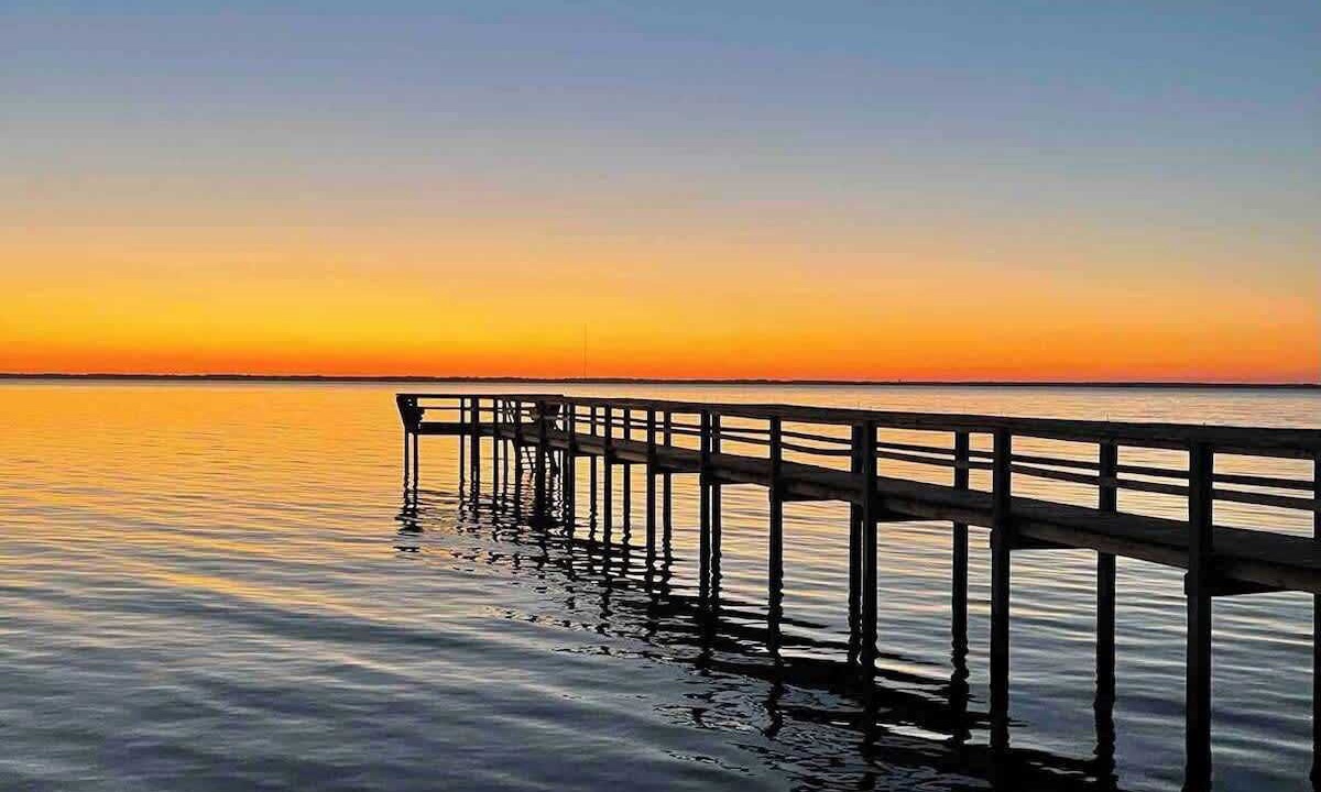 Photo of Outdoor in Duck