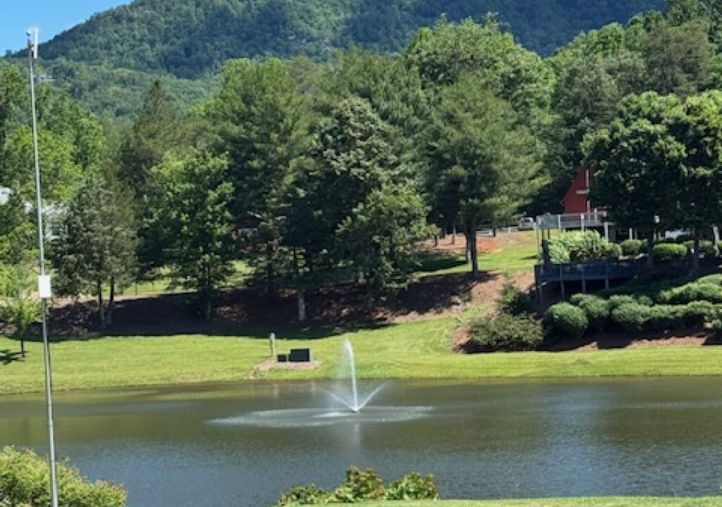 Photo of Others in Lake Lure