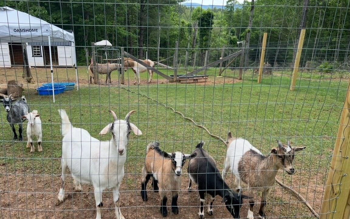 Photo of Others in Piney Creek