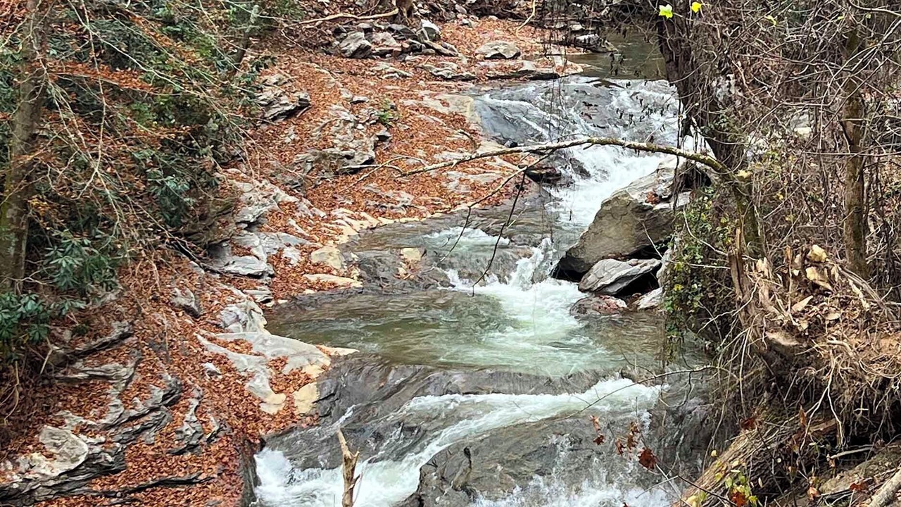 Photo of Others in Saluda
