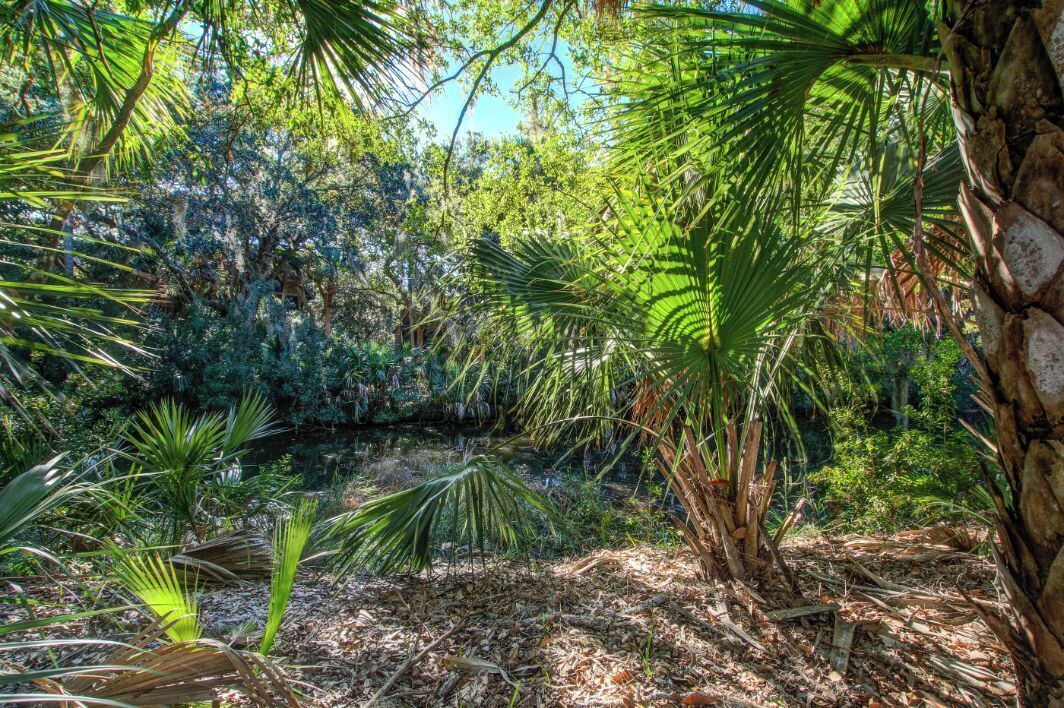Photo of Others in Kiawah Island