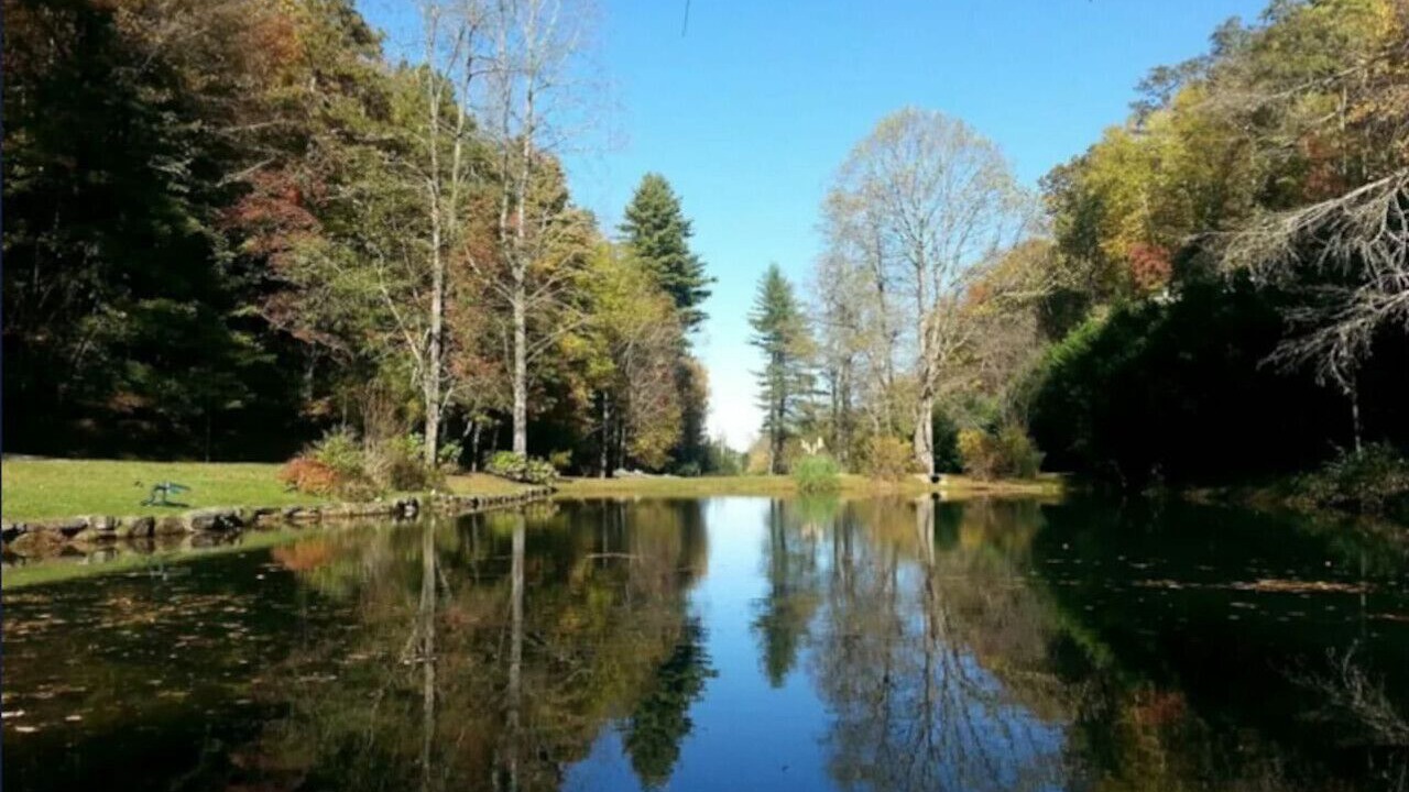 Photo of Others in Brevard
