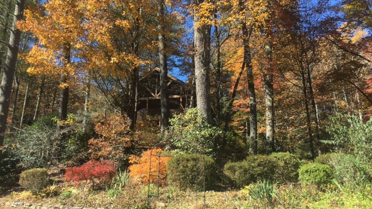 Photo of Outdoor in Brevard