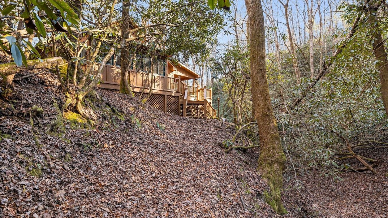 Photo of Outdoor in Brevard