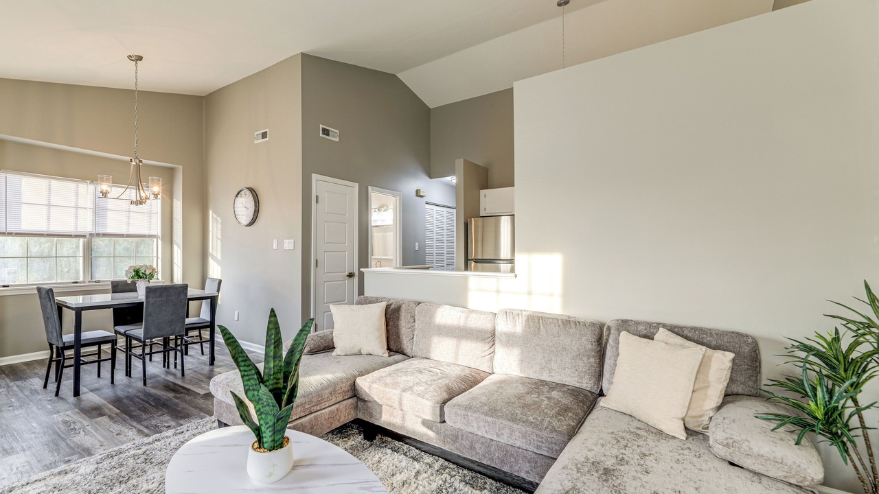 Photo of Livingroom in Havelock