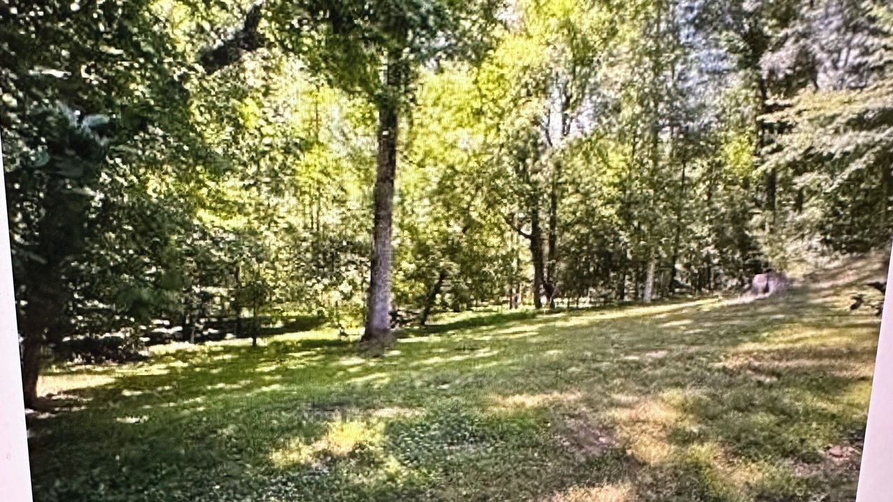 Photo of Others in Charlotte