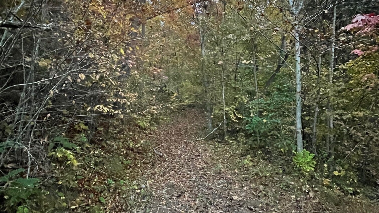 Photo of Others in Vein Mountain