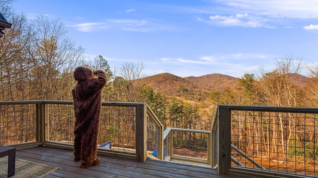 Photo of Outdoor in Asheville