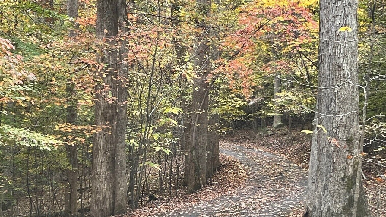 Photo of Others in Stokes