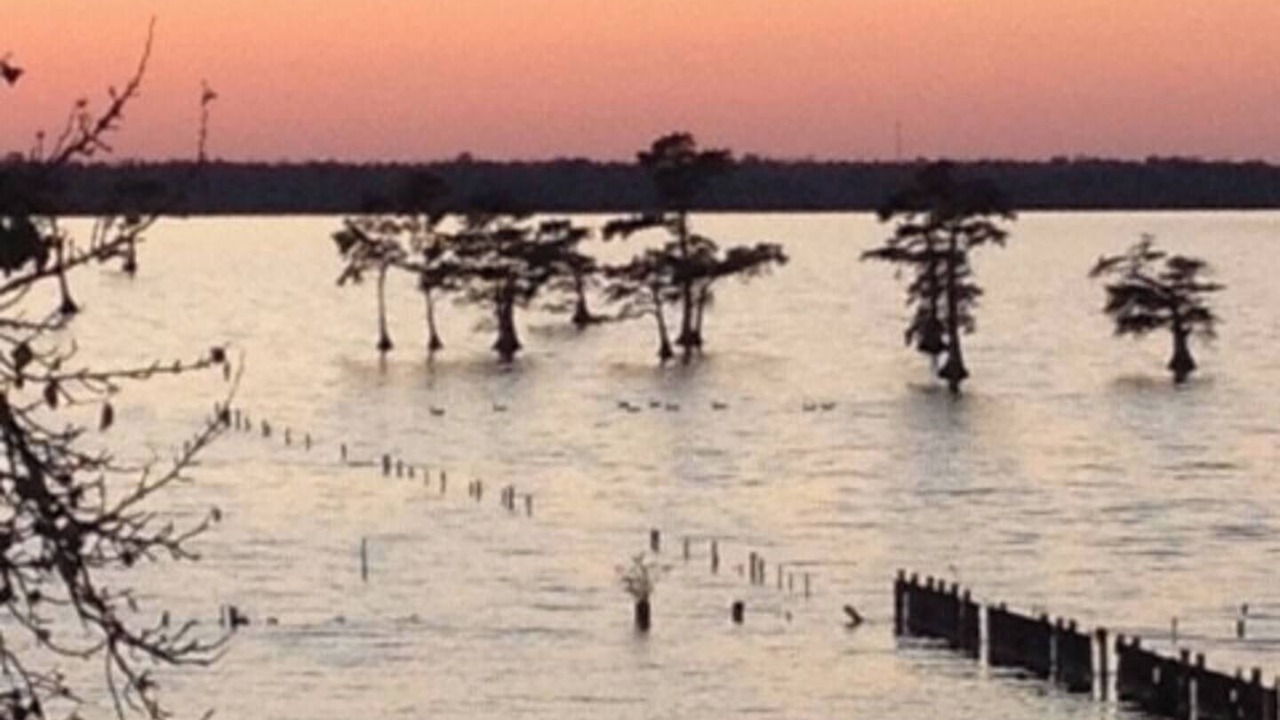 Photo of Others in Durants Neck