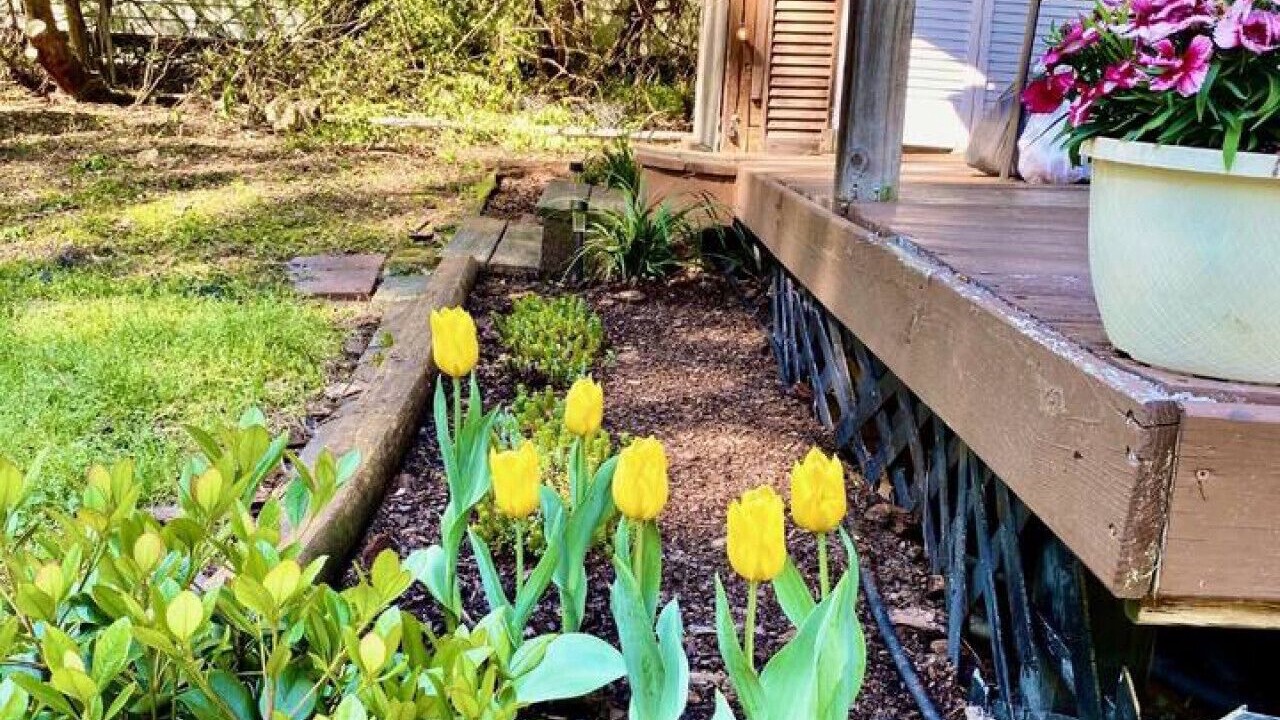 Photo of Outdoor in Durham