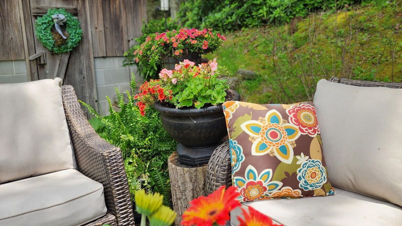 Photo of Outdoor in Scaly Mountain
