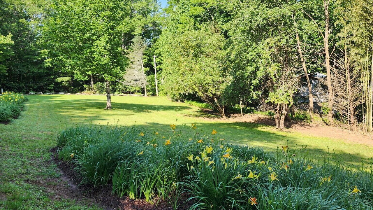 Photo of Outdoor in Scaly Mountain
