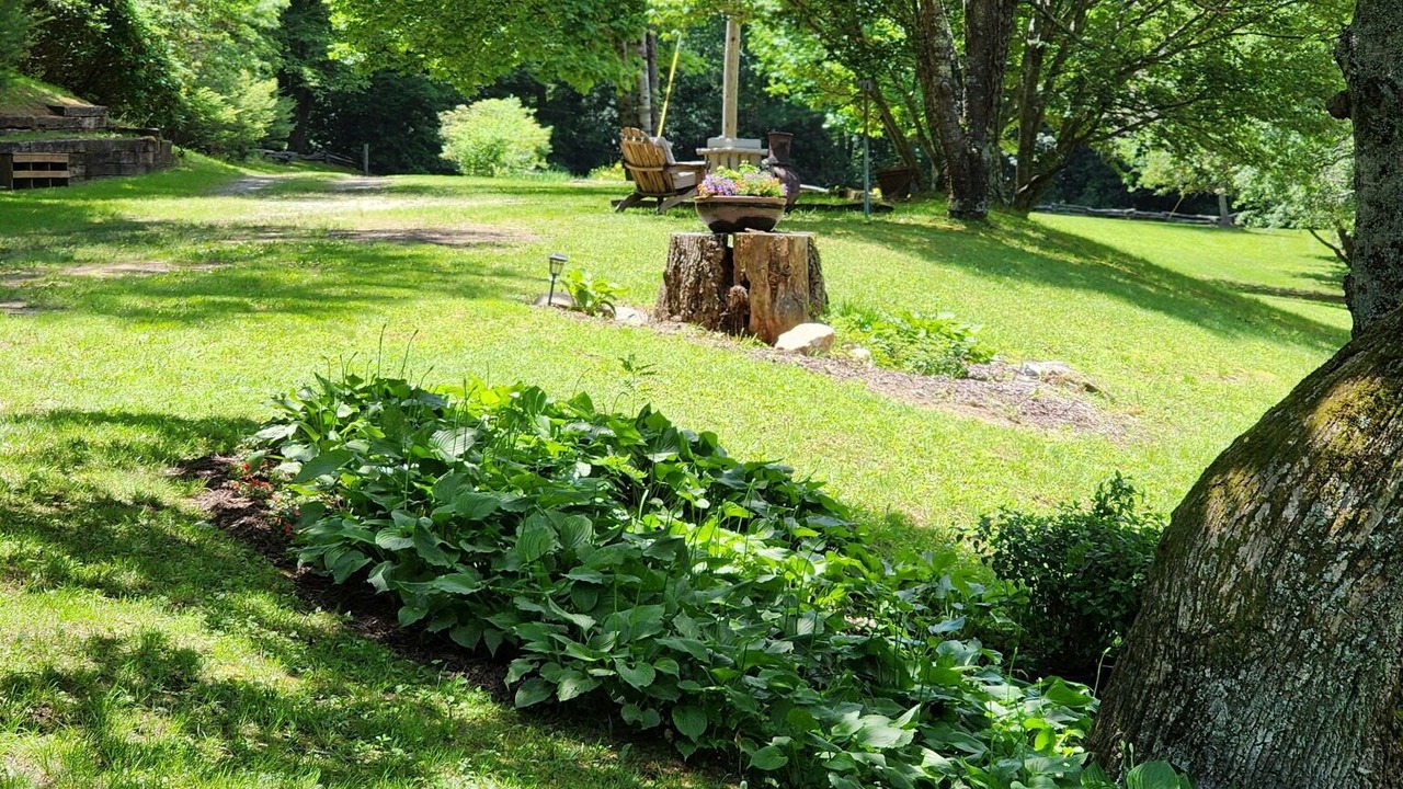 Photo of Outdoor in Scaly Mountain