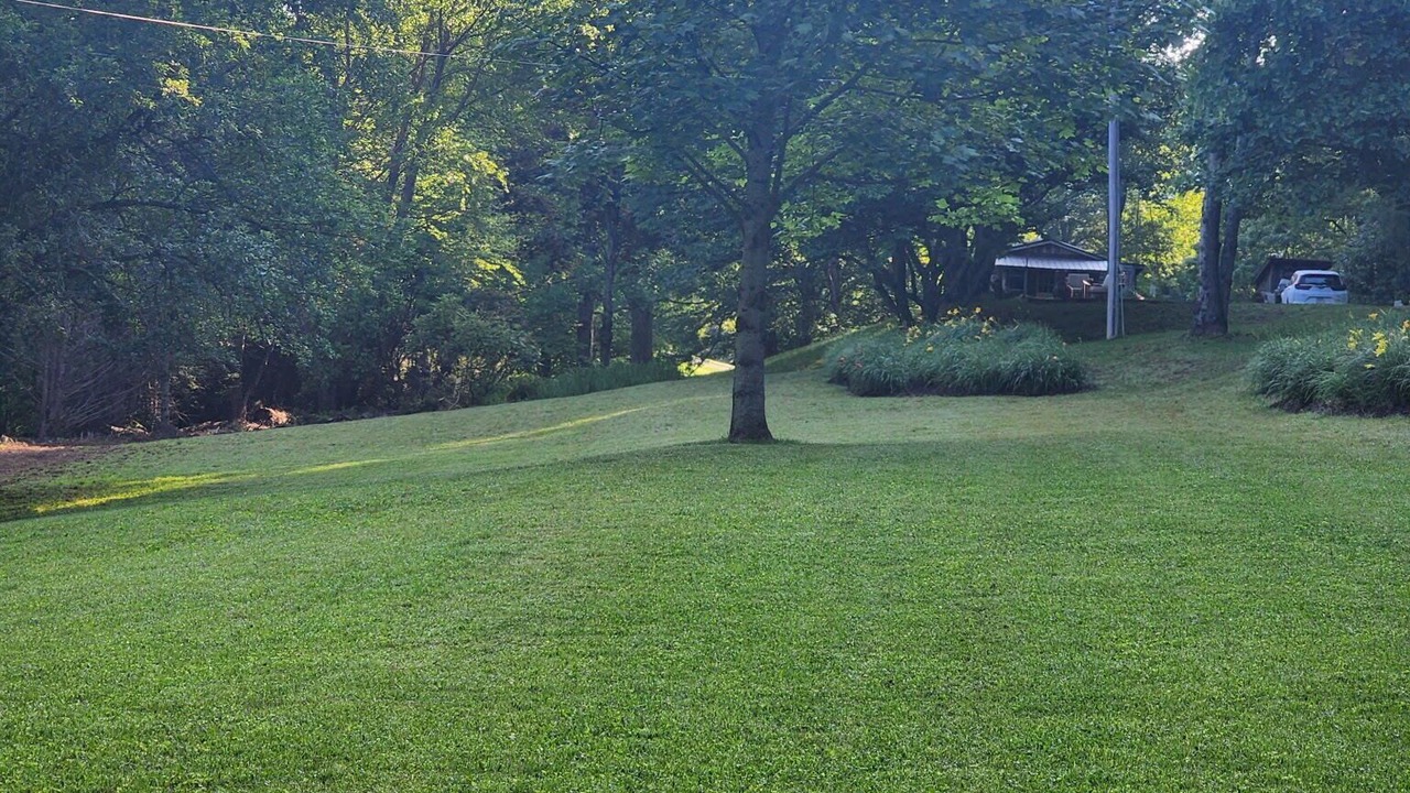 Photo of Outdoor in Scaly Mountain
