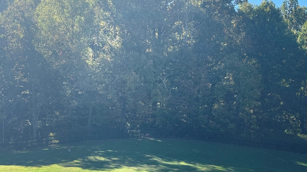 Photo of Outdoor in Todd