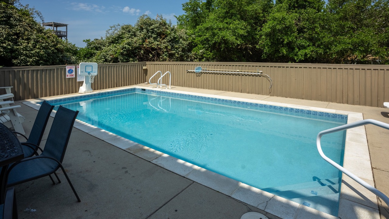 Photo of Outdoor in Duck