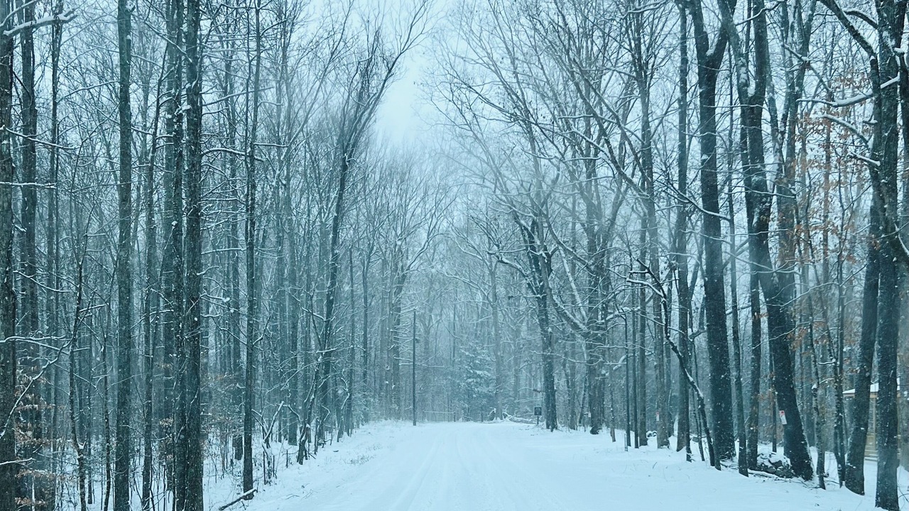 Photo of Others in Tullahoma