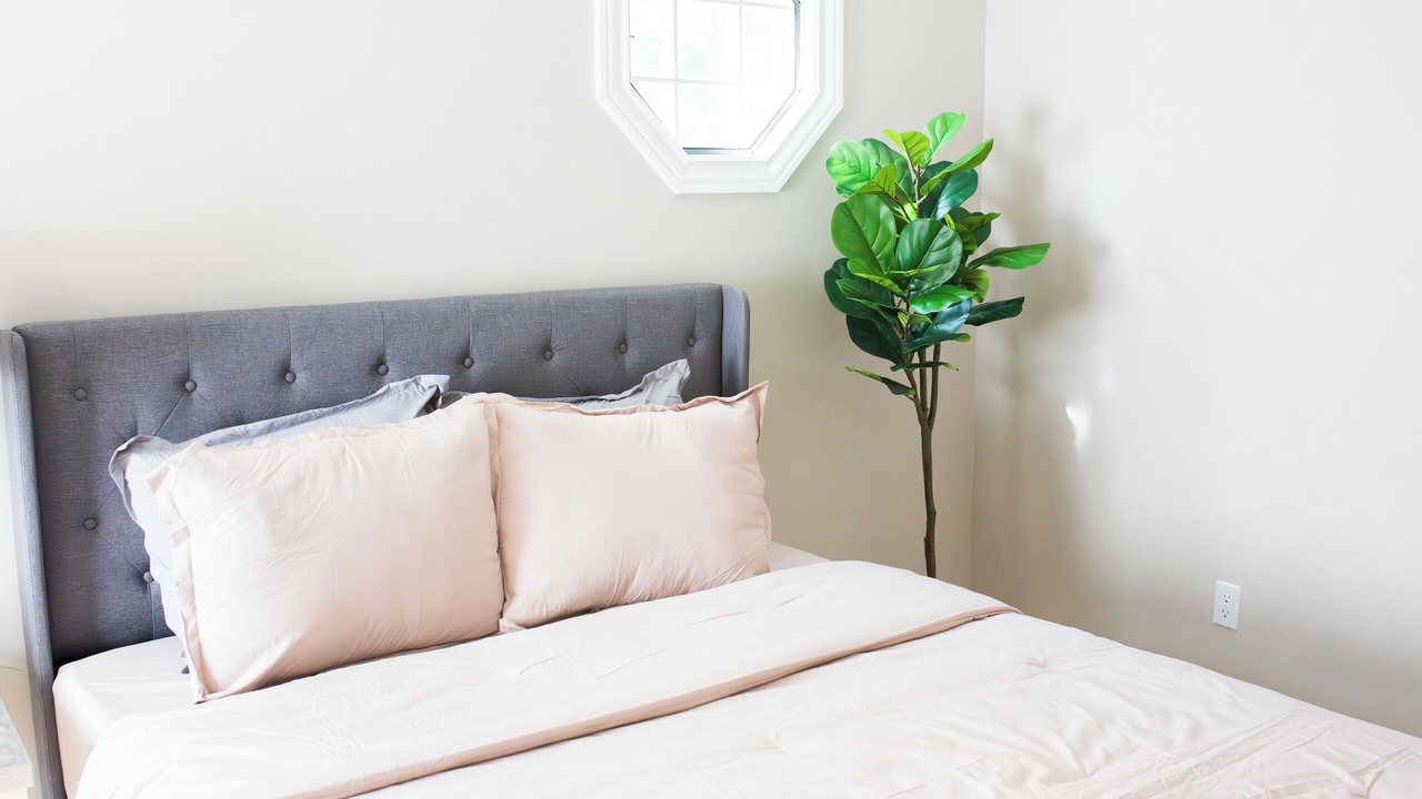 Photo of Bedroom in High Point
