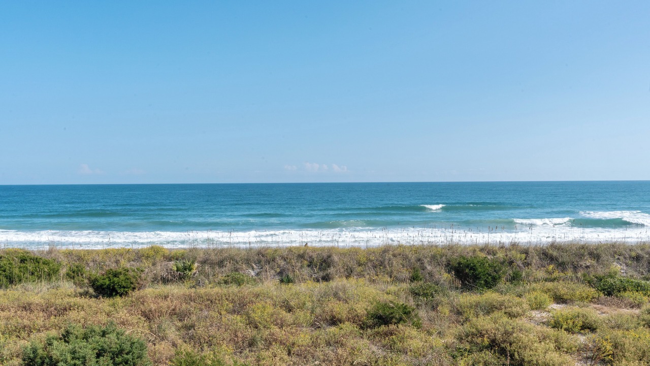 Photo of Others in North Carolina Coast
