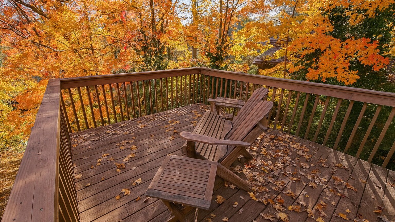 Photo of Outdoor in Forest Lake Heights