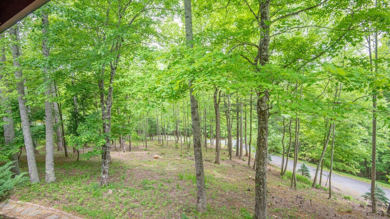 Photo of Outdoor in West Jefferson