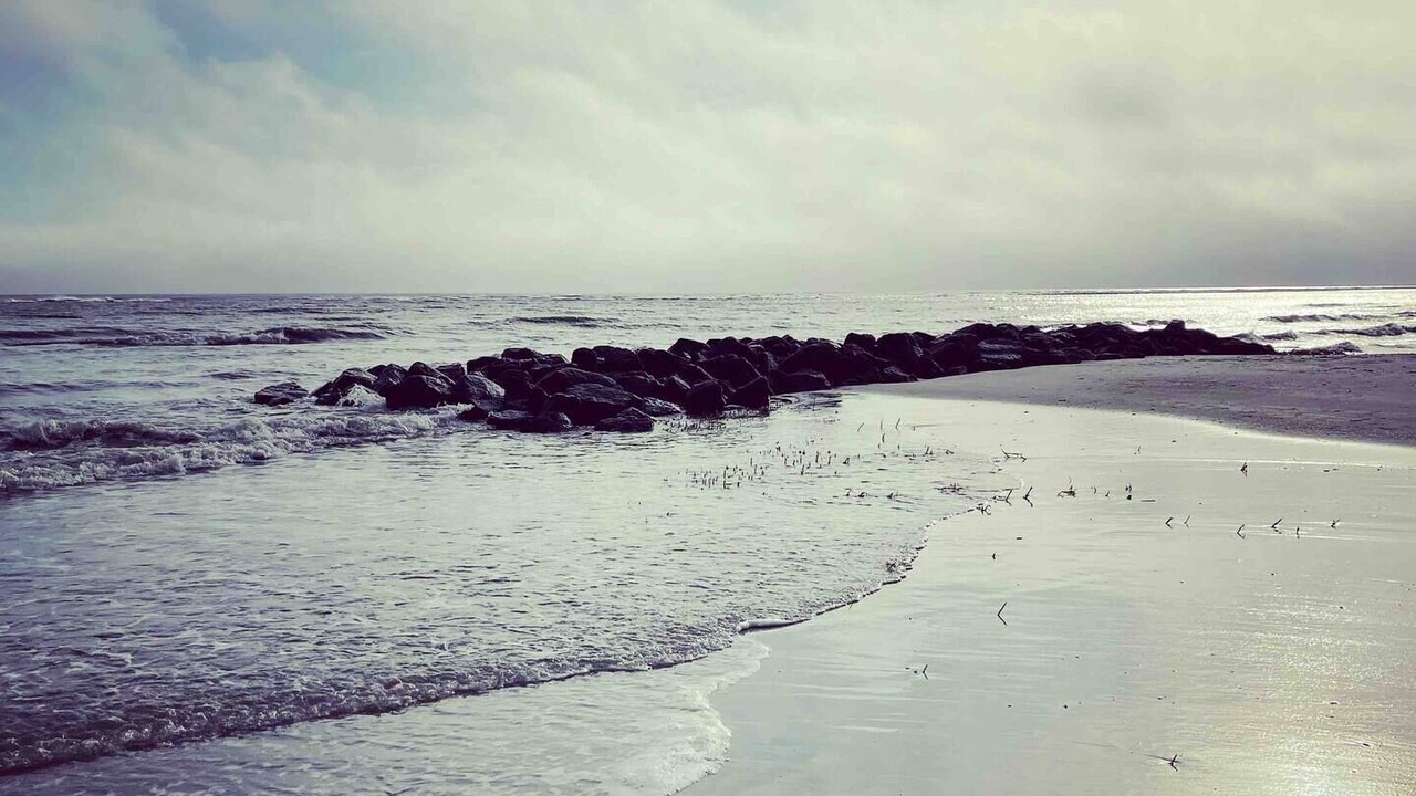 Photo of Others in Palmetto Dunes