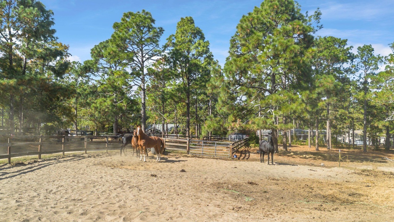 Photo of Others in Lemon Springs