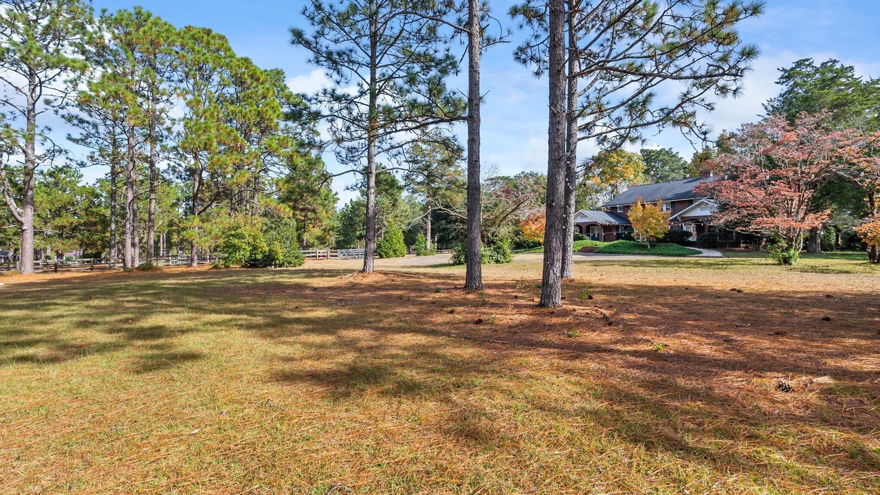 Photo of Outdoor in Lemon Springs