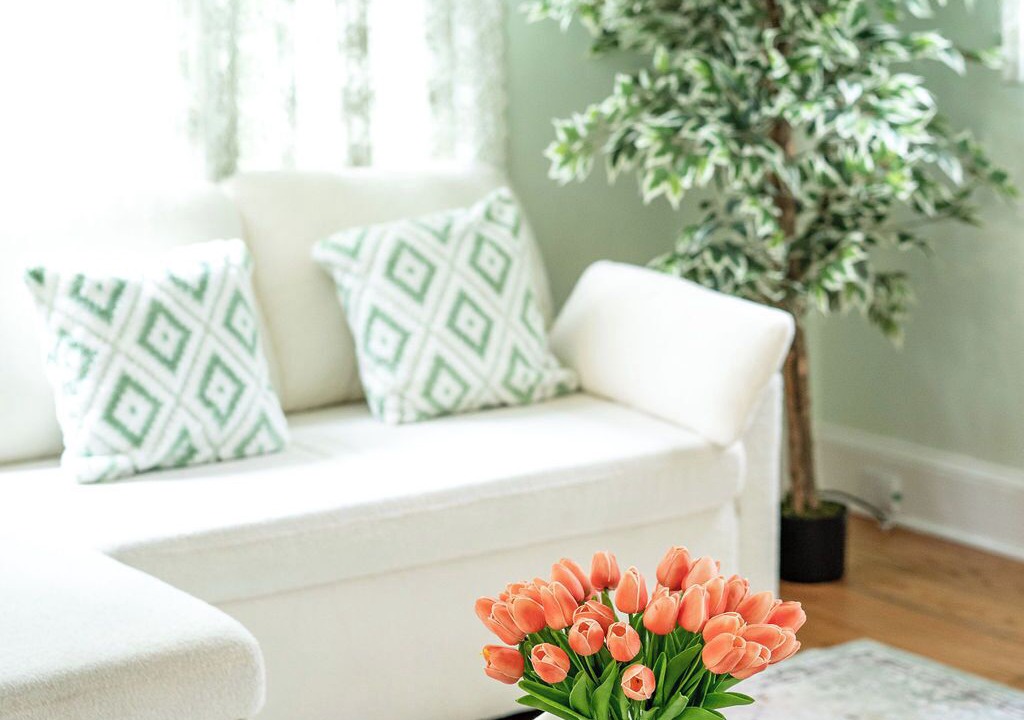 Photo of Livingroom in Greensboro