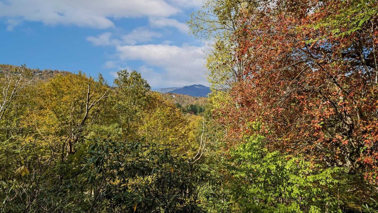 Photo of Others in Sugar Mountain