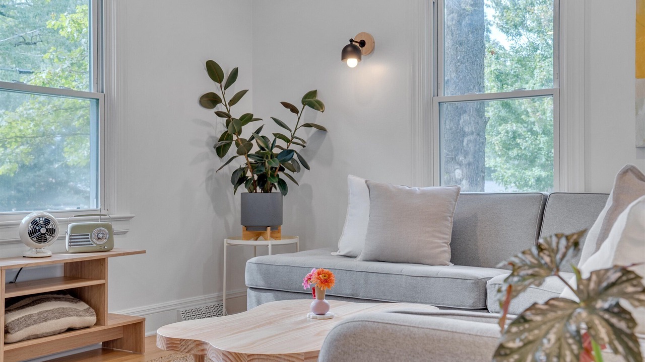 Photo of Livingroom in Carrboro