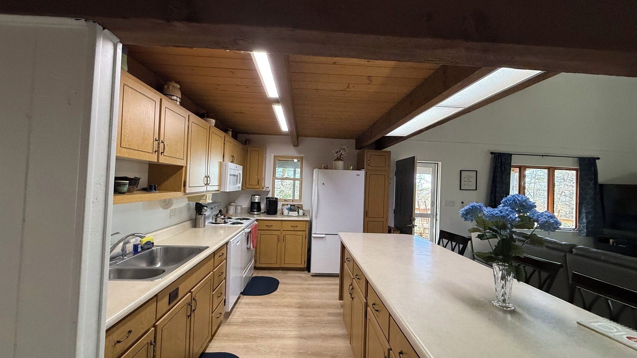Photo of Kitchen in Newland