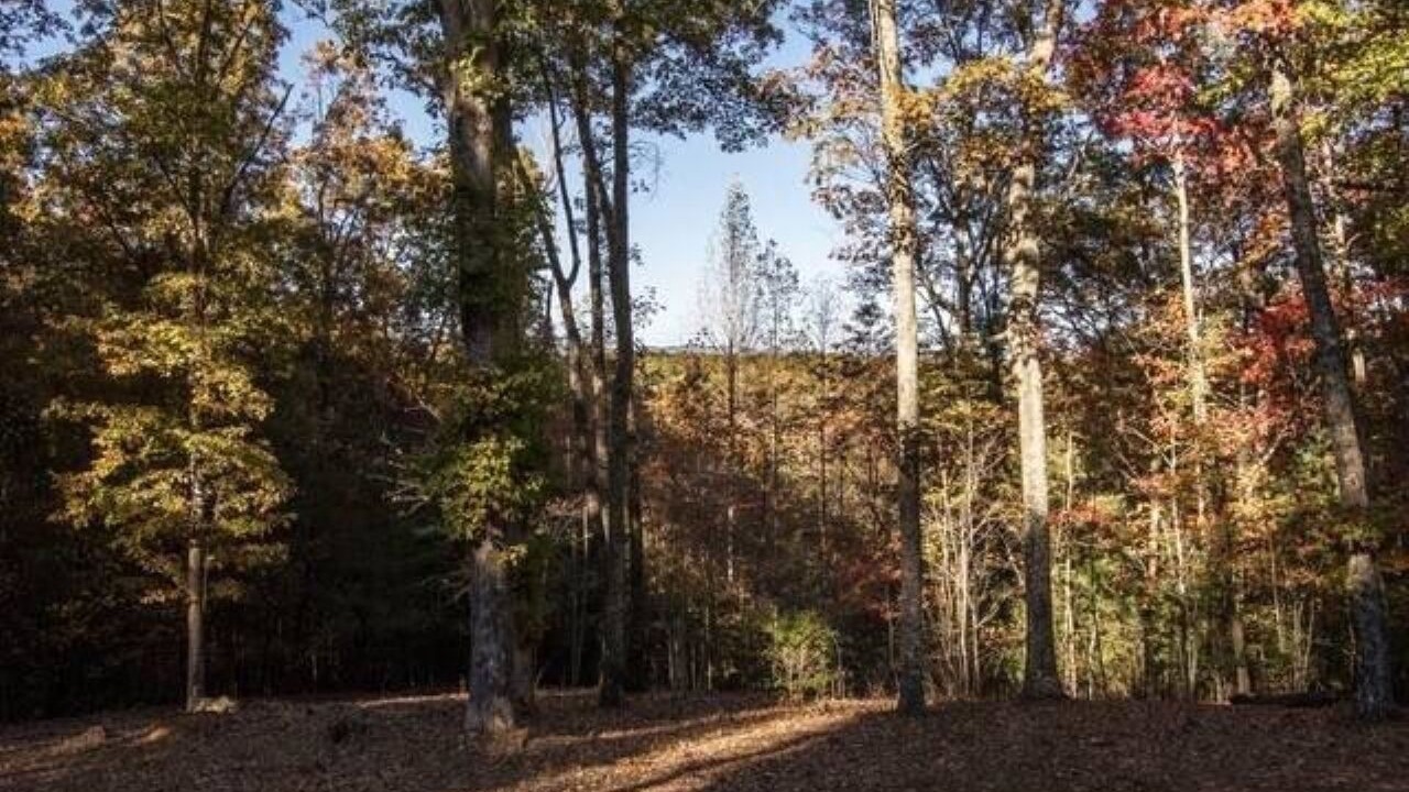 Photo of Outdoor in Murphy