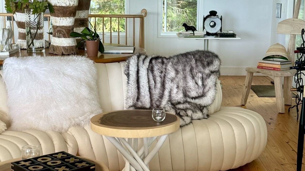 Photo of Livingroom in Scaly Mountain