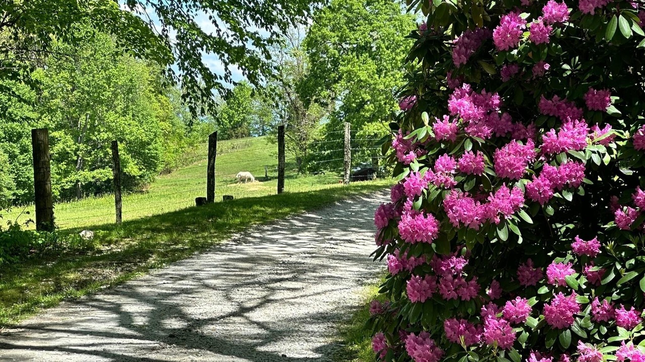 Photo of Outdoor in Scaly Mountain