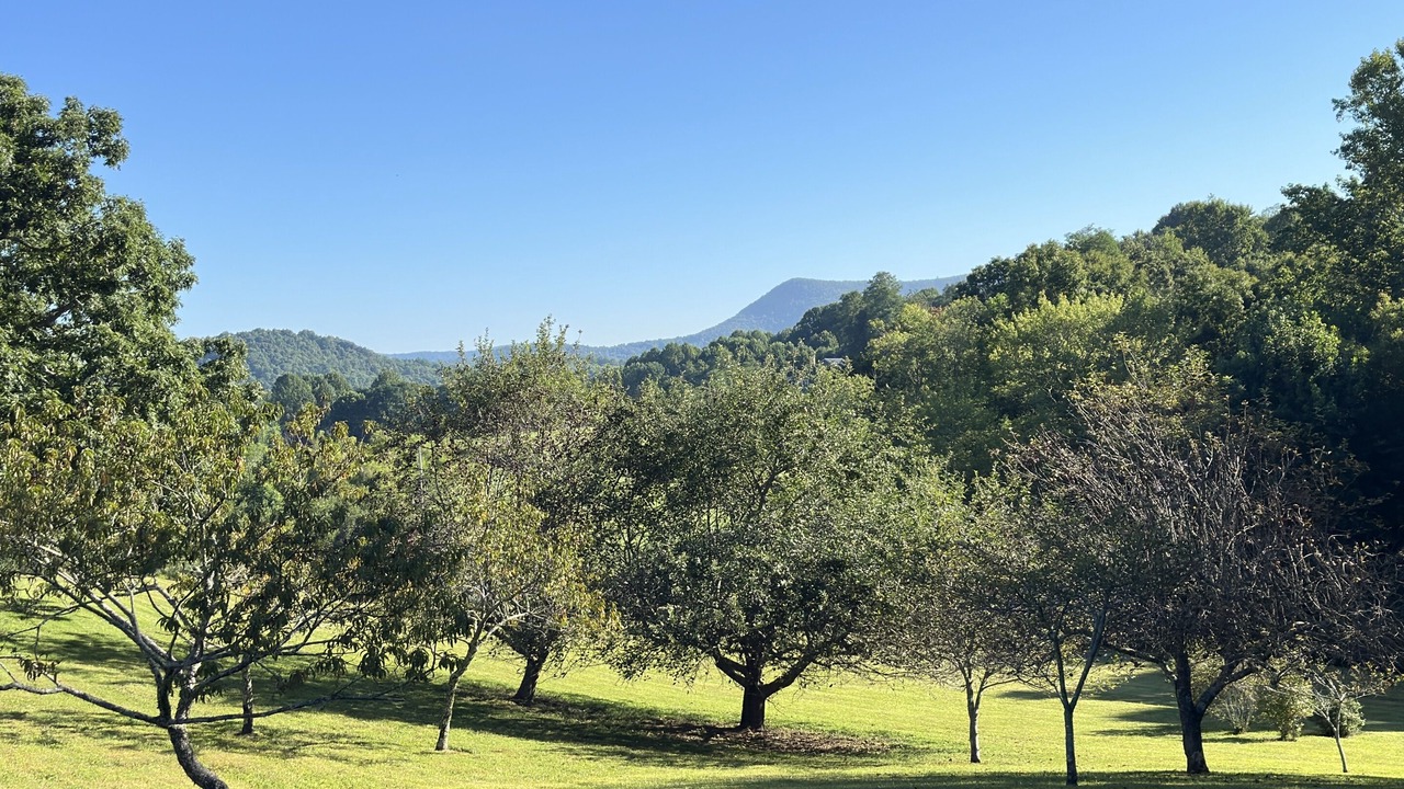 Photo of Others in Scaly Mountain