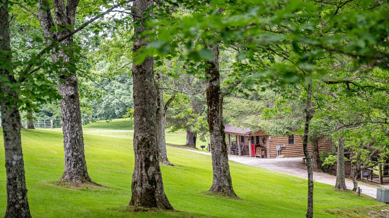 Photo of Outdoor in Scaly Mountain