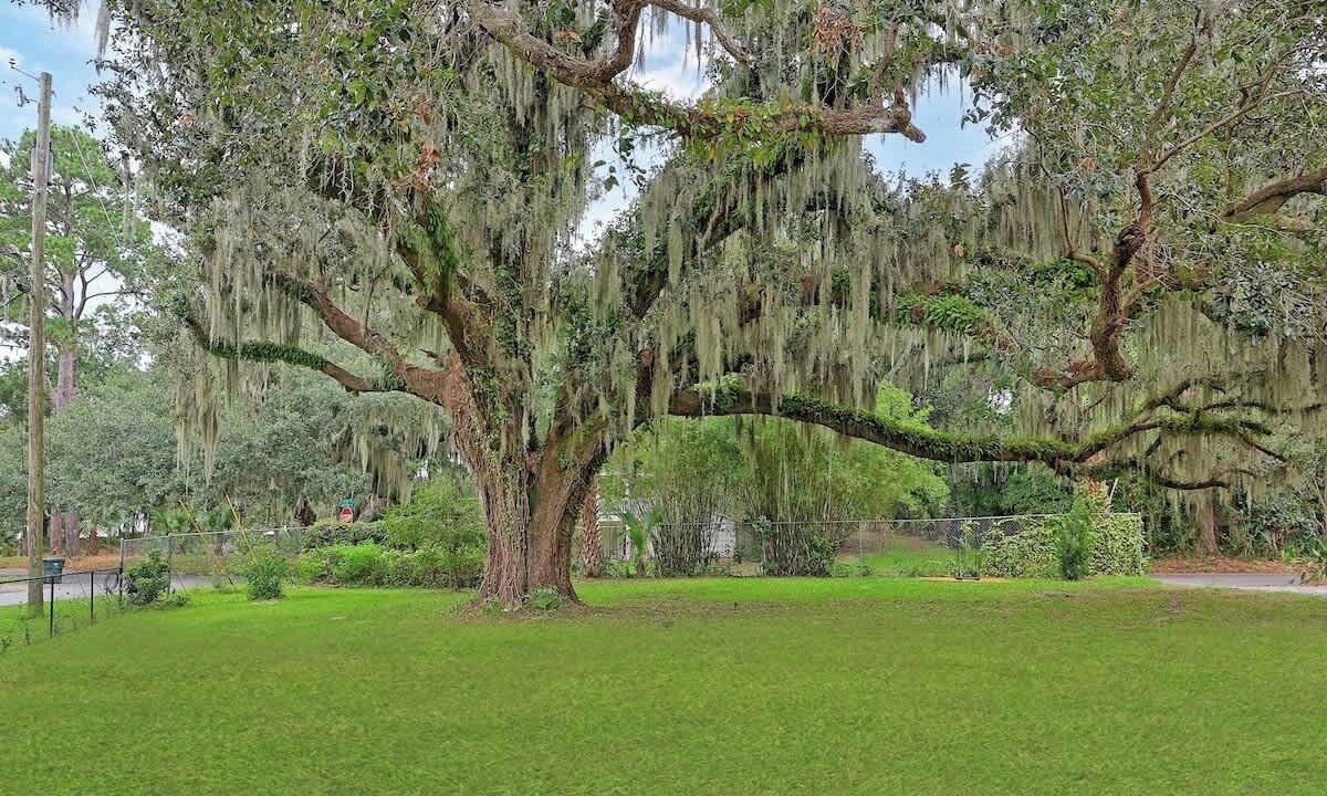 Photo of Others in Whitemarsh Island