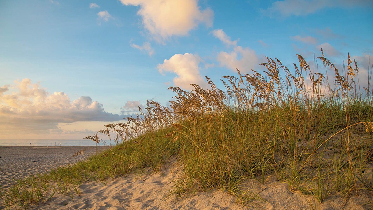 Photo of Others in Rodanthe